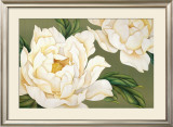 Buy Peonies at AllPosters.com
