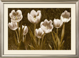 Buy Baroque Tulips at AllPosters.com