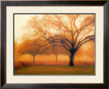 Buy Memory of Trees at AllPosters.com