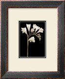 Buy Black and White V at AllPosters.com