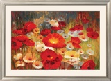 Meadow Poppies I