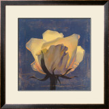 Buy Glowing White Rose at AllPosters.com