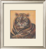 Buy Safari Tiger at AllPosters.com