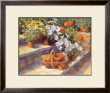 Buy Trugs, Pots and White Flowers at AllPosters.com