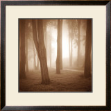 Buy Woods Study II at AllPosters.com