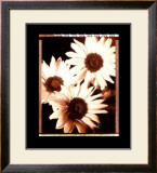 Buy Beautiful Flower IV at AllPosters.com