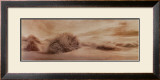 Buy Boundless Vista at AllPosters.com
