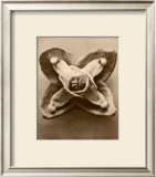 Buy Sepia Botany Study V at AllPosters.com