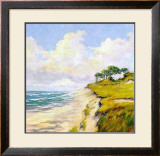 Coastal Lanscape