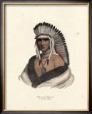 Buy Pawnee Brave at AllPosters.com