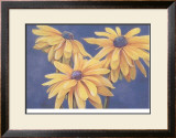 Rudbeckias