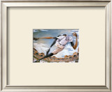 Buy The Pitch at AllPosters.com