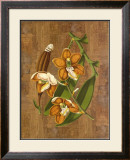 Buy Sumatra Orchids II at AllPosters.com