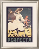 Cycles Perfecta