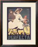 Cycles Perfecta