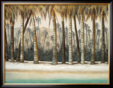 Buy Tourmaline Coast at AllPosters.com