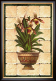 South Sea Orchids I