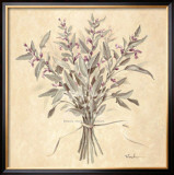 Buy Scent of Sage at AllPosters.com