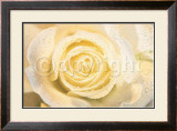 Buy La Paloma at AllPosters.com