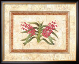 Buy Ceylon Orchid II at AllPosters.com