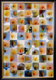 Lilies