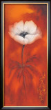 Anemone II