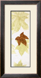 Buy Falling Leaves II at AllPosters.com