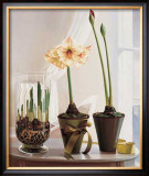 Buy Amaryllus II at AllPosters.com