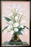 Calla Lilies