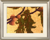 Buy Pin Oak at AllPosters.com