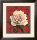 White Chinese Rose