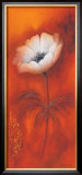 Anemone I