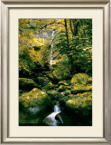 Buy Elowah Falls at AllPosters.com