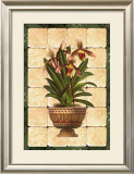 Buy South Sea Orchids I at AllPosters.com