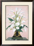 Calla Lilies
