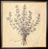 Buy Scent of Thyme at AllPosters.com
