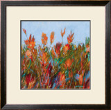 Buy Color Fields II at AllPosters.com
