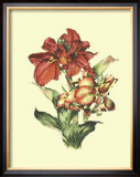 Buy Lush Floral I at AllPosters.com