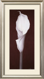 Buy My Small Lily I at AllPosters.com