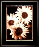 Buy Beautiful Flower IV at AllPosters.com
