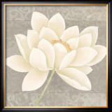 Platinum Luxe I