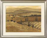 Golden Tuscany Afternoon II