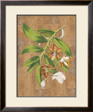 Buy Sumatra Orchids I at AllPosters.com