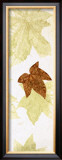 Buy Falling Leaves II at AllPosters.com