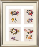 Buy Petit Fleurs at AllPosters.com