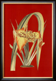 Buy Honolulu Retro II at AllPosters.com