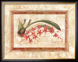 Buy Ceylon Orchid I at AllPosters.com