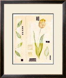 Buy Toulon Tulip at AllPosters.com