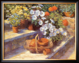 Buy Trugs, Pots and White Flowers at AllPosters.com