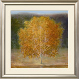 Buy Down a Lazy River II at AllPosters.com